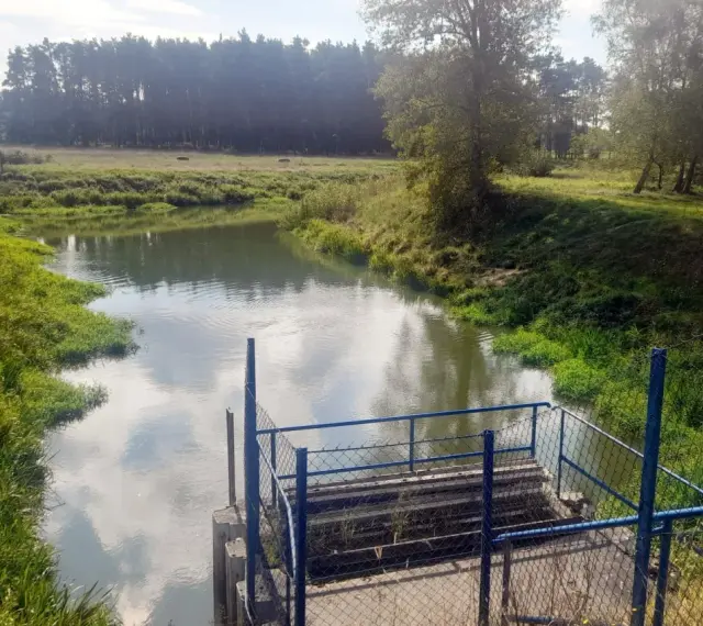 Spokojna rzeka otoczona zielenią, z widocznym pomostem i ogrodzeniem. Piękne zdjecia w wodzie odbijające niebo.